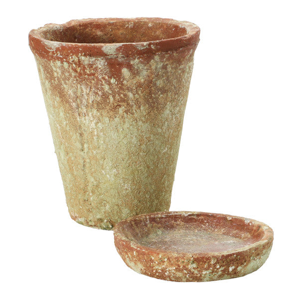 A round terracotta cement planter with a distressed finish and a saucer.